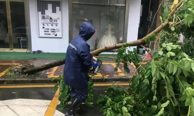 沙瑯鎮：打好防風防汛“主動戰”，“小網格”實現“大守護”